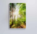 Ver imagem 2 de Quadro Árvore Verde 1 - 80x120 Cm - Tecido Canvas