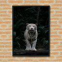 Ver imagem 1 de Quadro Decorativo Fotografia Tigre Branco - 70x50cm:moldura Branca