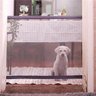 Tela Grade de Porta para Cachorro Pet Gato Caes Bebe - 8