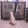 Tela Grade de Porta para Cachorro Pet Gato Caes Bebe - 10