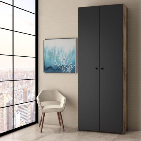 Sapateria Multiuso 2 Portas C/nicho Castani Monaco Casa Moderna