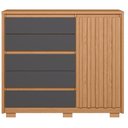 Ver imagem 4 de Guarda Roupa Solteiro Frizatto 02 Portas de Correr e Cômoda Sapateira Duetto Freijo Titanium - Móvei