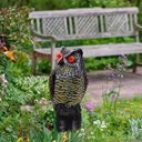 Ver imagem 6 de Coruja Solar Acende Olhos Faz Barulho Sensor Movimento Afasta Animais Pombo Escorpiao Cobra Esquilo