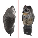 Ver imagem 7 de Coruja Solar Acende Olhos Faz Barulho Sensor Movimento Afasta Animais Pombo Escorpiao Cobra Esquilo