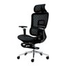 Cadeira Ergonômica Office Mesh Premium Reclinável Braço 5d Preta - 1