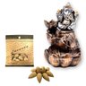 Combo Incensário Cascata Ganesha 14 cm + Incenso Cone Lavanda Natural - 1