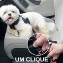 Ver imagem 4 de Cinto de Segurança Elastico para Cães e Gatos Nylon Universal