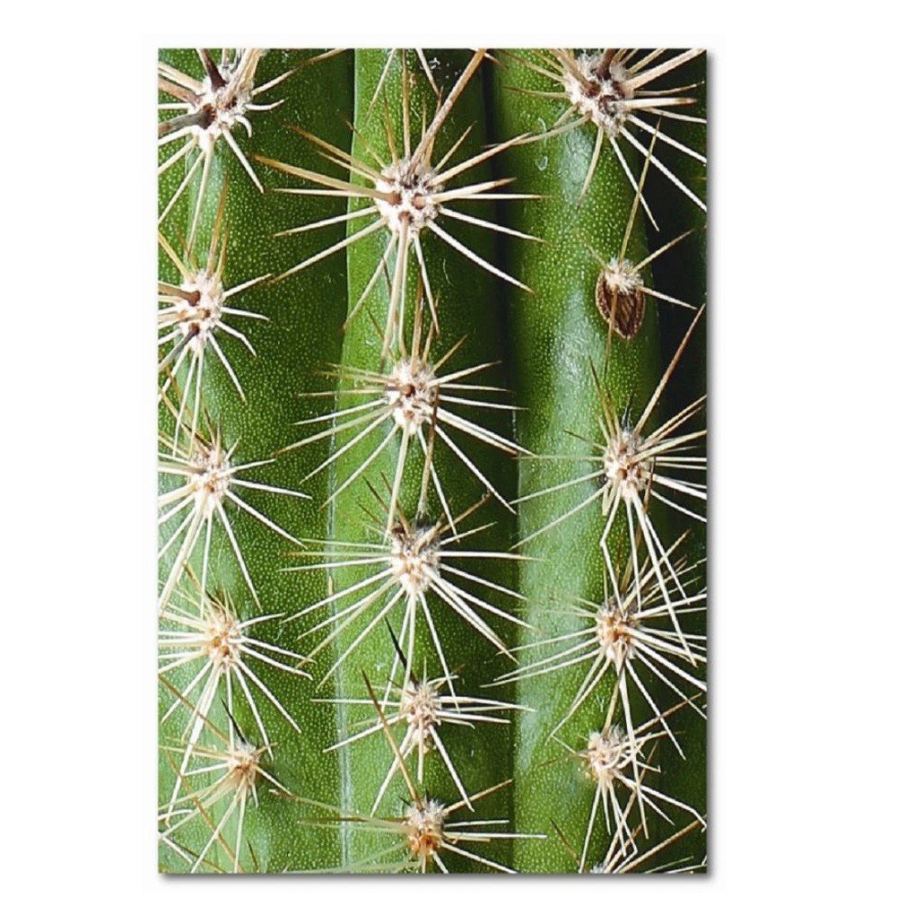 Kit Placas Quadros Decorativos 3 Pçs Mdf 20x30 Cactos - 4