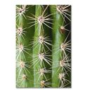 Ver imagem 4 de Kit Placas Quadros Decorativos 3 Pçs Mdf 20x30 Cactos