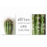 Kit Placas Quadros Decorativos 3 Pçs Mdf 20x30 Cactos - 1