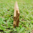 Ver imagem 4 de Madeira Pinus Ripado Tratado Autoclave com Nó 2cm X 7cm