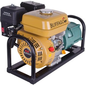 Motobomba Gasolina 4 Estágios 1'' 6,5CV Partida Manual Buffalo 60611