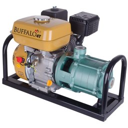 Motobomba Gasolina 4 Estágios 1'' 6,5CV Partida Manual Buffalo 60611 - 6