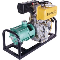 Motobomba Gasolina 4 Estágios 1'' 6,5CV Partida Manual Buffalo 60611 - 3