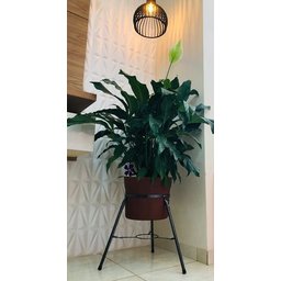 Suporte Tripé de Ferro P/ Vasos e Plantas 38x60cm Alto - 4
