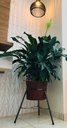 Ver imagem 4 de Suporte Tripé de Ferro P/ Vasos e Plantas 38x60cm Alto