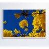 Quadro Árvore Ipê Amarelo no Céu Azul Medidas 60x90 Cm Impressão Tecido Canvas - 1
