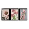 Kit 3 Quadros Decorativos C/ Moldura Flores Rosas Aquarela - 1