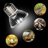 Lampada Uva Uvb 3.0 Luminaria Bocal De Ceramica Articulado Namiasam Kit 50w 220v - 5