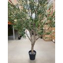 Ver imagem 5 de Árvore Oliveira Artificial Planta Premium Realista com 2.50m, Planta Decorativa para Casa e Eventos.