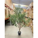 Ver imagem 3 de Árvore Oliveira Artificial Planta Premium Realista com 2.50m, Planta Decorativa para Casa e Eventos.