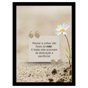 Ver imagem 1 de Quadro Decorativo Motivacional "Plantar e Colher São Fases."