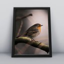 Ver imagem 1 de Quadros Decorativos Aves Decoração Sala Quarto Diversos:3