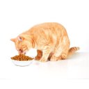 Ver imagem 3 de Ração Catsy Premium para Gatos Adultos Sabor Frango 25kg