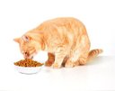 Ver imagem 3 de Ração Catsy Premium para Gatos Adultos Sabor Frango 25kg