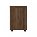 Ver mais imagens de Gaveteiro Volante 3 Gavetas com Chave em Tamburato Artany