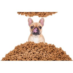 Kit 02 Unidades Ração Robustus para Cães Adultos Todo Dia 15Kg - 3