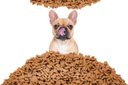 Ver imagem 3 de Kit 02 Unidades Ração Robustus para Cães Adultos Todo Dia 15kg