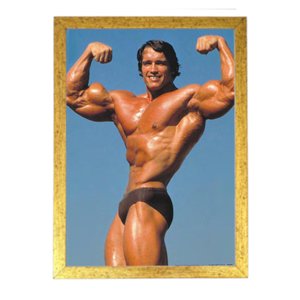 quadro poster decoração academia old school arnold DRD7671