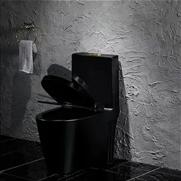 Louça Sanitária Ravena - Black - 4
