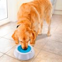 Ver mais imagens de Tigela Água Fria Gelada P/caes Gatos Bebedouro Pet 970ml