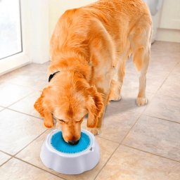 Tigela Água Fria Gelada P/caes Gatos Bebedouro Pet 970ml - 8