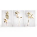 Ver imagem 1 de Kit 3 Quadros Retangulares - Trio de Flores Douradas 2