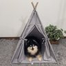 Cabana Pet Camping Cachorro Gato - Algodão Liso - 70x70x84cm - Cinza - 2