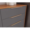 Ver imagem 5 de Balcão de Cozinha 100% Mdf 120cm 2 Portas 2 Gavetas Divina Mgm Móveis Cinamomo/titanium