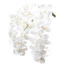 Ver imagem 1 de 1 Flor Artificial Orquídea de Silicone Branca Toque Real 3D