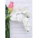 Ver imagem 5 de 1 Flor Artificial Orquídea de Silicone Branca Toque Real 3D