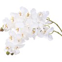 Ver imagem 2 de 1 Flor Artificial Orquídea de Silicone Branca Toque Real 3D