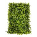 Ver imagem 1 de Kit 50 Placas de Eucalipto 40 X 60cm Muro Inglês Jardim Vertical