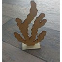 Ver imagem 1 de Algas Marinha para Decoração - 15 Unidades Centro de Mesa