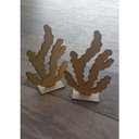 Ver imagem 2 de Algas Marinha para Decoração - 15 Unidades Centro de Mesa