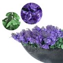 Ver imagem 1 de Kit 15 Lavanda Artificial Lilás Realista para Decoração de Interiores e Eventos