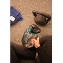 Ver imagem 6 de Garrafa Fitness Alça Preta 1,8l Mor