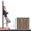 Ver imagem 7 de Armário para Escritório Baixo 2 Portas com Chave