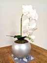 Ver imagem 1 de Arranjo de Orquídea Artificial Branca em Aquário Cinza