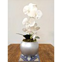 Ver imagem 2 de Arranjo de Orquídea Artificial Branca em Aquário Cinza